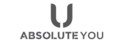Absolute group grey logo