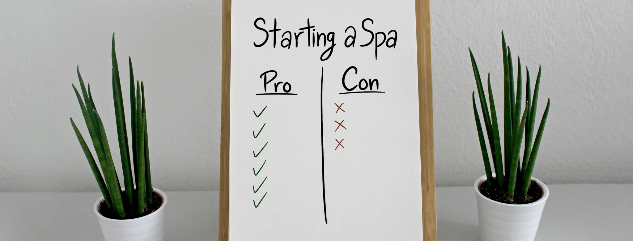 Pros and cons list for starting a spa on a notebook