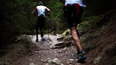 denver wellness trends