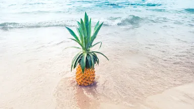 pineapple on the beach