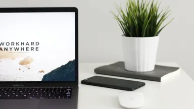 laptop on desk with plant