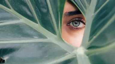 woman's eye looking through plant